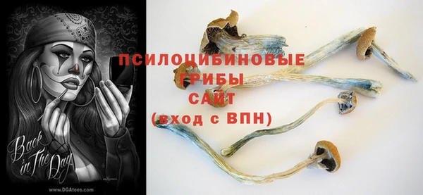 jwh Медвежьегорск