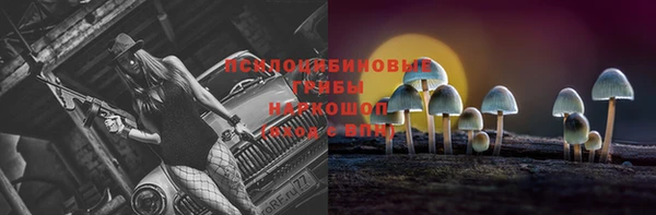 герыч Медногорск