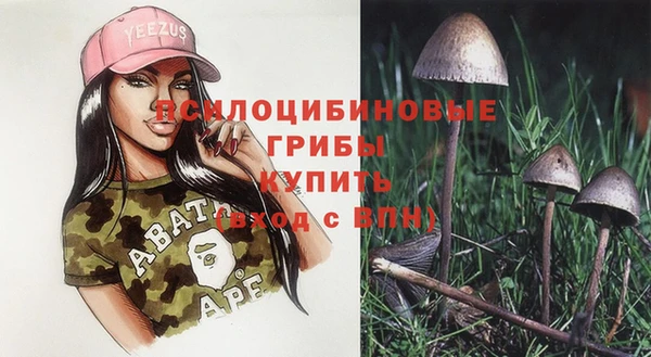 герыч Медногорск