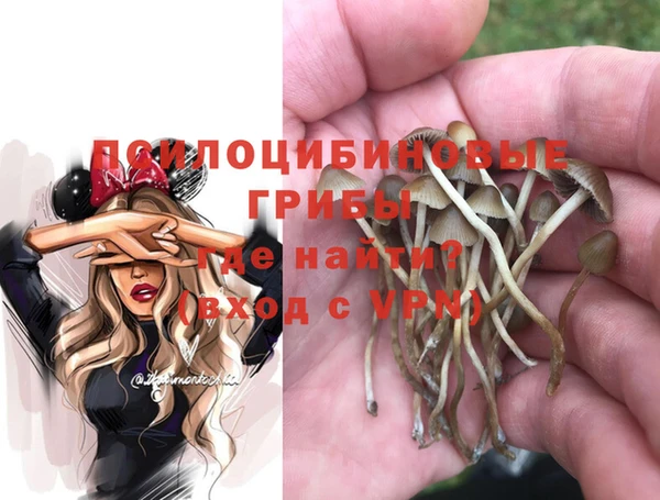 jwh Медвежьегорск